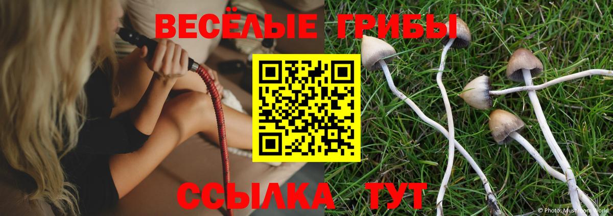 Кострома  Галлюциногенные грибы прущие грибы  Псилоцибиновые грибы мухоморы  цены   Вход с VPN 